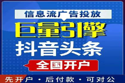 XX行业竞价广告的投放策略与效果分析